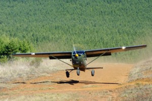 Plane Taking Off